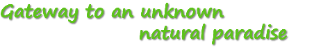 Gateway to an unknown natural paradise